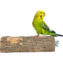 Doğal Ağaç Kuş Tüneği ve Yemlik Kütük Tünek Yemlikli Tünek Uzunluk 15 cm