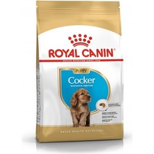 Royal Canin Cocker Kuru Köpek Maması, Yavru Köpek, 3 kg
