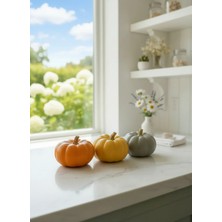 Nura Co 3'lü Dekoratif Kabak Seti Sarı Turuncu - Ev Dekorasyonu Masa Süsü Obje - El Yapımı Raf Aksesuarı