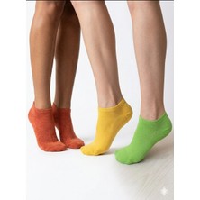 Byfrado Bayan 3'lü Dikişsiz Penye Patik Çorap