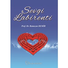  palme yayınevi sevgi labirenti