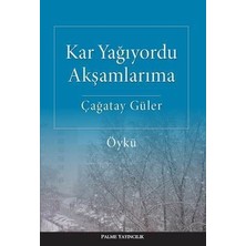 Palme Yayınevi Kar Yağıyordu Akşamlarıma