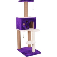 Kedi Tırmalama, Nemrut, Mor