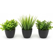Üçlü Mini Yapay Sukulent Seti – 8 cm Saksı, Dekoratif Küçük Bitki Seti, Gerçekçi Görünüm, Salon Ofis Ev Masa Üstü Süs Bitkisi, Bakım Gerektirmez, Modern Dekor (Siyah)