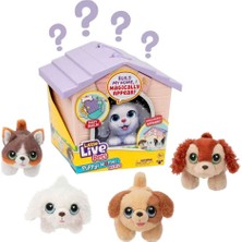 Kiddico Toys Llp Yavru Köpeğim ve Evi Sürpriz Paket LPP01110