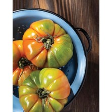 Berry Store Özge Şahin Ile Geleceğin Mutfağı