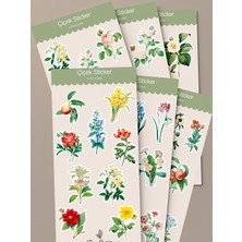 Tiny Stories TR Çiçek Sticker Seti - 6 Sayfa / Ajanda,çıkartma,scrapbook