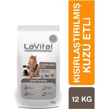 Lavital Kuru Kedi Maması Kısırlaştırılmış 12KG Kuzu Etli Yetişkinler İçin Kolay Sindirim
