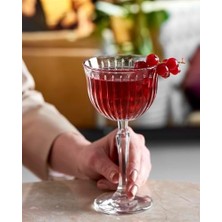 Berry Store Joy Şampanya Kadehi 245 cc 4'lü Hediyelik Kutu