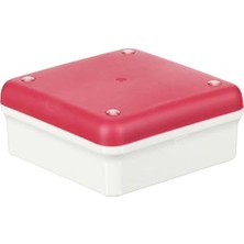 Berry Store 111000058803 Çok Amaçlı Kutu, Fuşya