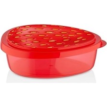 Berry Store 4 Lü Çilek Kivi Karpuz Meyve Desenli Saklama Kabı Seti Yeşil-Kırmızı