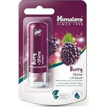 Berry Store Himalaya Since 1930 Parlatıcı Dudak Bakım Kremi, Böğürtlen, NEMLENDIRICI,%100 Doğal Renk, Silikon Içermez, 4,5 gr