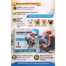 Maxi Derma Köpek Ense Damlası 3'lü Damla Paketi 3 x 1 gr