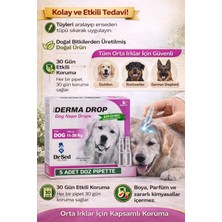 Maxi Derma Köpek Ense Da mlası 5'li Da mla Paketi 5 x 2 gr