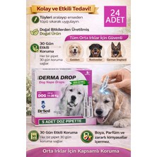 Dr. Sed Maxi Derma 11-20KG Köpek Dış Parazit Damlası 24 Kutu