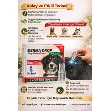 Köpekler Için Ensedamlası Dışparazit Deri Bakım Maxi Derma Drop 21-40 kg X3
