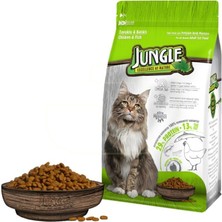 Jungle Tavuk ve Balıklı 500 gr Ekonomik Yetişkin Kedi Maması Sağlıklı Beslenme İçin
