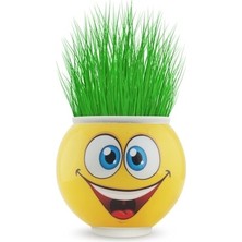 Çimoji Çim Adam Sarı Renkli Eğlenceli Dekoratif Fidan Ofis ve Ev İçin Uygun