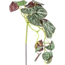 Berry Store Yapay Bitki Salon Sarmaşığı Koyu Yeşil 35 Cm.