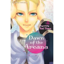 Berry Store Dawn Of The Arcana, Vol. 5
