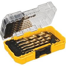 Nisar Store Dewalt DW1354 14 Parçalı Titanyum Matkap Ucu Seti, Gümüş,
