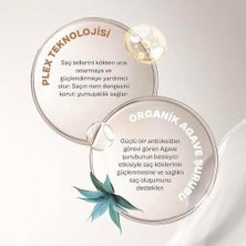 Berry Store No.2 Bond Plex Yıpranma Karşıtı Saç Bakım Şampuanı Sülfatsız 350 Ml- Vegan