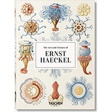 The Art And Science Of Ernst Haeckel. 40TH Anniversary Edition - Rainer Willmann
