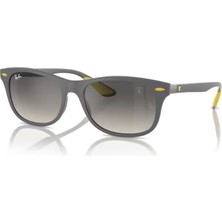 Ray-Ban 4607M F60811 55 Unisex Güneş Gözlüğü Unisex Güneş Gözlüğü