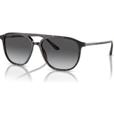 Giorgio Armani Ar 8179 5026T3 56 Erkek Güneş Gözlüğü