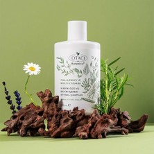 Nisar Store Otacı Botanics Canlandırıcı & Besleyici Bakım - 10 Bitki Özü ve  Içeren Bitkisel Şampuan