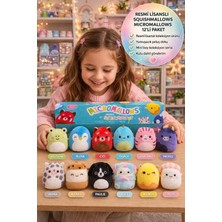Toyfest Squishmallows Orijinal Micromallows 12'li Paket Mini Peluş Seti 6.5 cm Koleksiyon Oyuncak