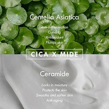 Berry Store Cıca x Mide Toner Centella Asiatica ve Seramid Özlü Sakinleştirici Tonik 200 ml