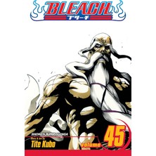 Berry Store Bleach, Vol. 45