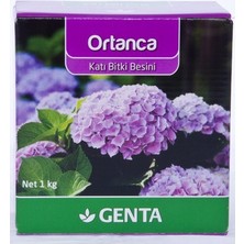 Genta Ortancalar ve Açelyalar için Katı Bitki Besini (1 Kg)