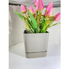 Saksı Dünyası Poliwork Kare Saksı Tabaklı 2,3 Lt 160*150 Mm