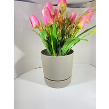 Saksı Dünyası Poliwork Yuvarlak Tabaklı Saksı 1,8 Lt 150*145 Mm