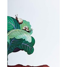 Nisar Store Dünyanın En Büyük Evi (Ciltli)