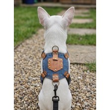 Balkonda Köpek Göğüs Tasması Küçük, Orta ve Büyük Irk Ayarlamalı Kot Açık Mavi Takip Cihazı Koyulabilen Cep