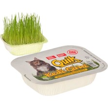 Quik Doğal Kedi Çimi (Fileli)  Kedi Ödülleri Ve Vitaminler İçin Lezzetli Seçenek