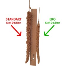 Dal Darı Net Eko Kızıl Dal Darı 500 gr Organik Muhabbet Kuşu Yemi Doğal İçerikle Üretilmiştir