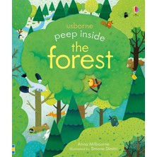 Nisar Store Peep Inside A Forest