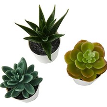 Berry Store Saksılı Yapay Saksı Bitkisi, Iç ve Dış Mekan Için, 203.953.31, Sulu