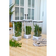 Berry Store Yeşillik Saklama Kabı 3'lü Eko Set 1,7 Litre