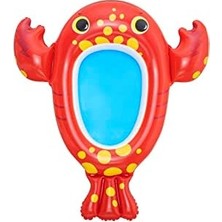 Nisar Store Splash Buddy Şişme Bebek Botu