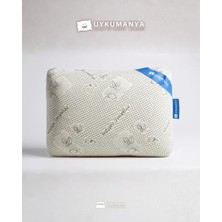 Nisar Store Uykucu Organic Visco Yastık, 60X40/14, Bed Pillow, Organic