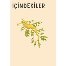 NY Home Çocuklar Için Su Altı Yaşamı Ansiklopedisi (Ciltli)