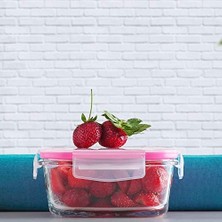 Nisar Store Fresco Büyük Tekli Cam Saklama Kabı, Pembe