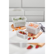 Nisar Store - Lavin 4 Litre Açık Gri Saklama Kabı