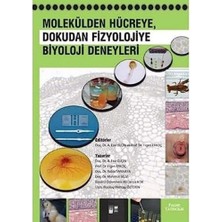 NY Home Molekülden Hücreye Dokudan Fizyolojiye