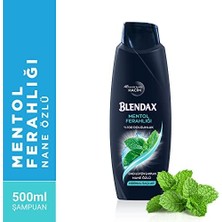 Nisar Store Erkekler Için Mentol Ferahlığı Nane Özlü Şampuan, 500 ml